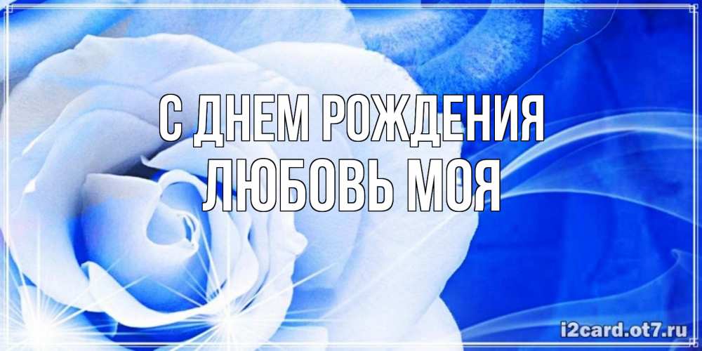 Открытка на каждый день с именем, Любовь-моя С днем рождения белая роза на голубом фоне Прикольная открытка с пожеланием онлайн скачать бесплатно 