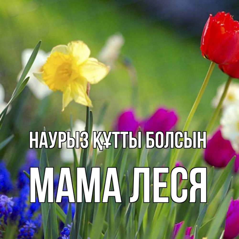 Открытка на каждый день с именем, Мама-Леся Наурыз құтты болсын наурыз  3 открытки Прикольная открытка с пожеланием онлайн скачать бесплатно 