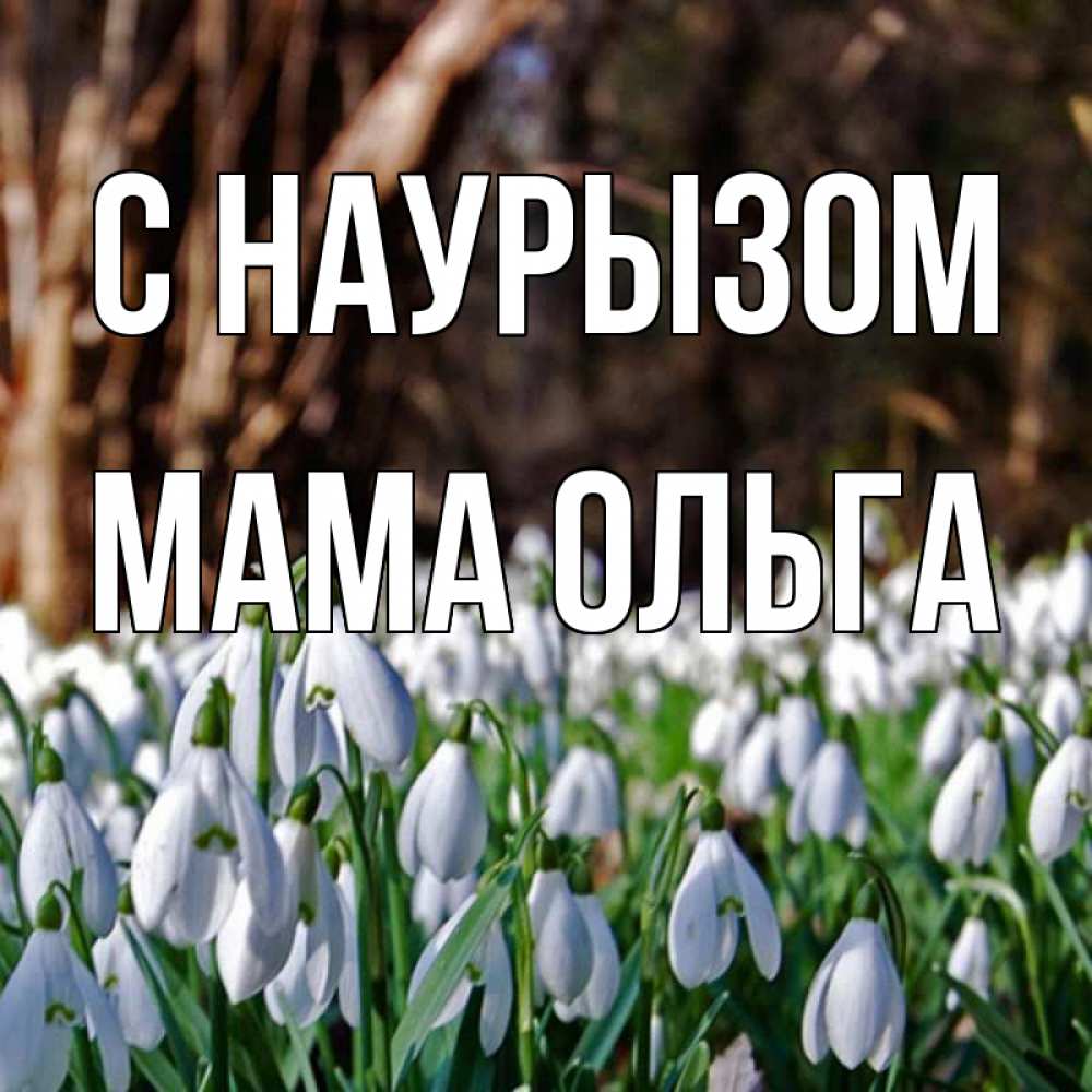 Открытка на каждый день с именем, Мама-Ольга С наурызом с подснежниками 1 Прикольная открытка с пожеланием онлайн скачать бесплатно 