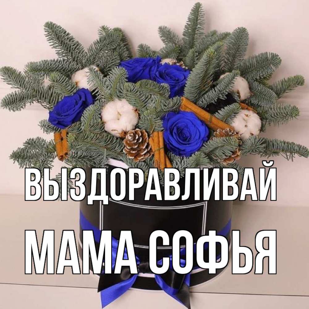 Открытка на каждый день с именем, Мама-Софья Выздоравливай короче кто то загрузил эти шишки Прикольная открытка с пожеланием онлайн скачать бесплатно 