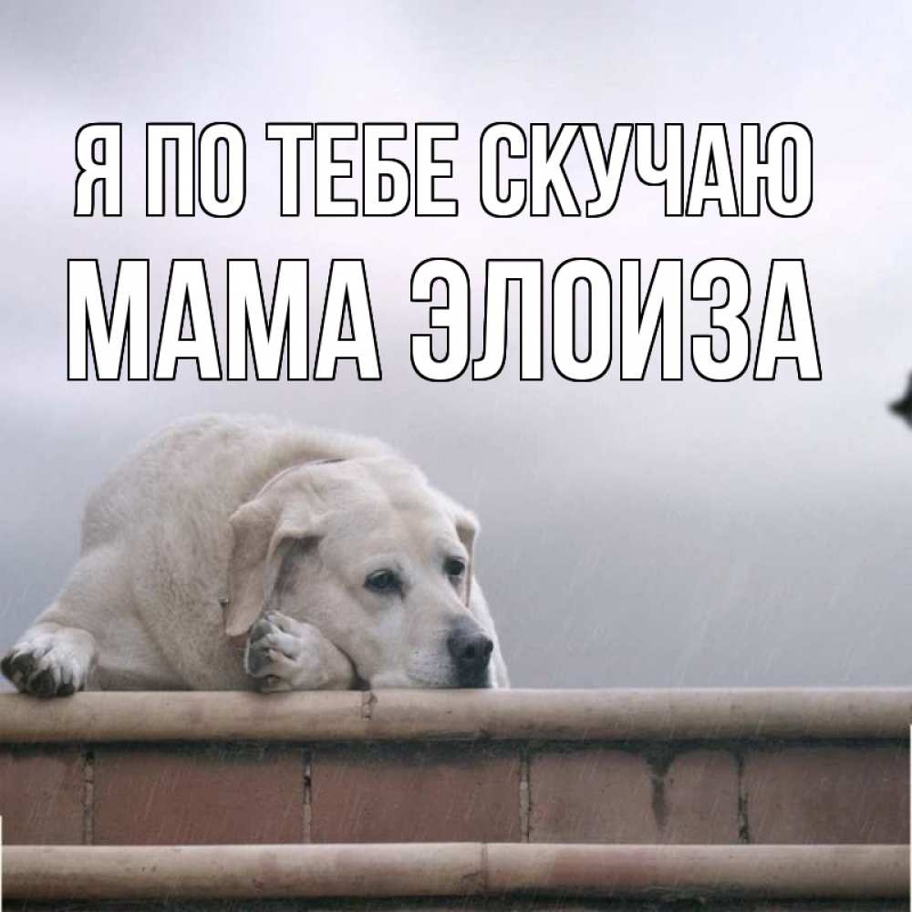 Открытка на каждый день с именем, Мама-Элоиза Я по тебе скучаю ждет Прикольная открытка с пожеланием онлайн скачать бесплатно 