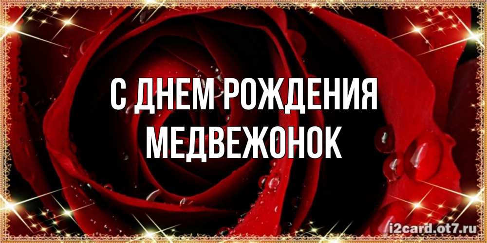 Открытка на каждый день с именем, Медвежонок С днем рождения цветок в росе на день рождения Прикольная открытка с пожеланием онлайн скачать бесплатно 