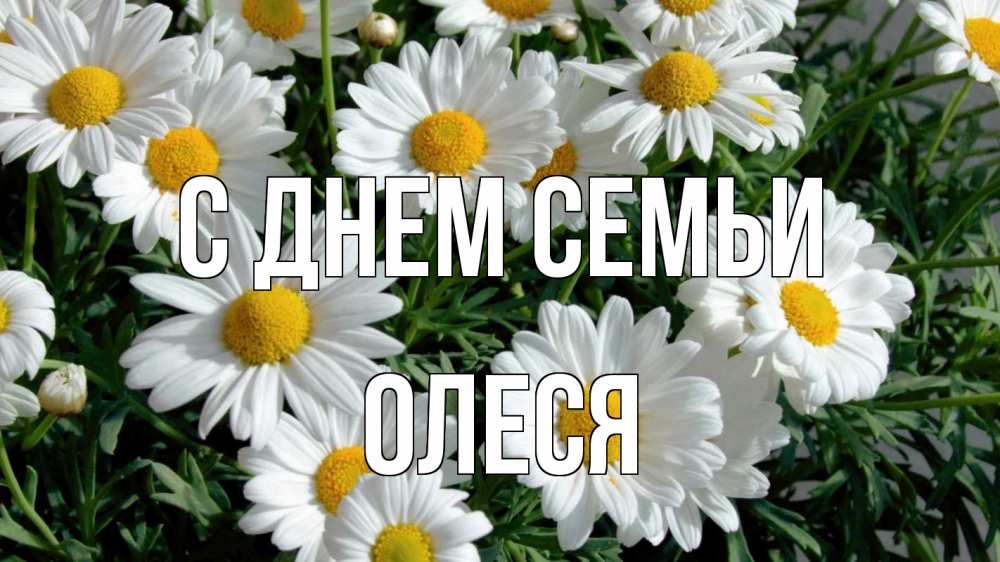 Открытка на каждый день с именем, Олеся С днем семьи с днем семьи Прикольная открытка с пожеланием онлайн скачать бесплатно 
