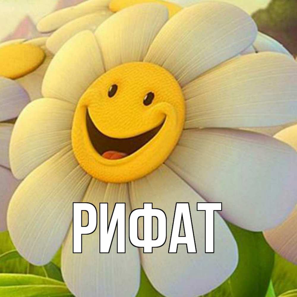 Открытка на каждый день с именем, Рифат Главная огромная улыбающаяся ромашуща Прикольная открытка с пожеланием онлайн скачать бесплатно 