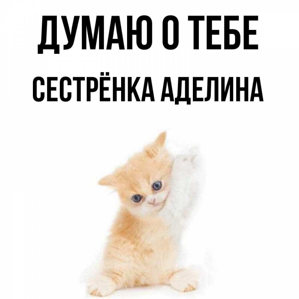 Открытка на каждый день с именем, Сестрёнка-Аделина Думаю о тебе зверушки и милота Прикольная открытка с пожеланием онлайн скачать бесплатно 