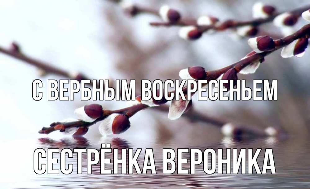 Открытка на каждый день с именем, Сестрёнка-Вероника С вербным воскресеньем верба, ручей Прикольная открытка с пожеланием онлайн скачать бесплатно 