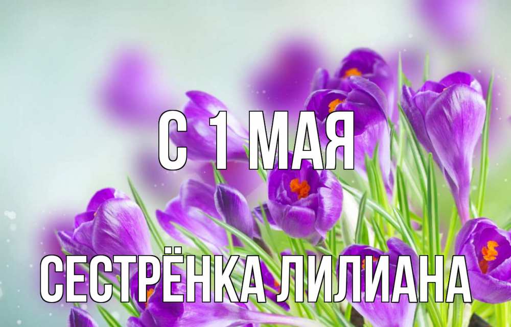 Открытка на каждый день с именем, Сестрёнка-Лилиана С 1 мая 1 мая Прикольная открытка с пожеланием онлайн скачать бесплатно 