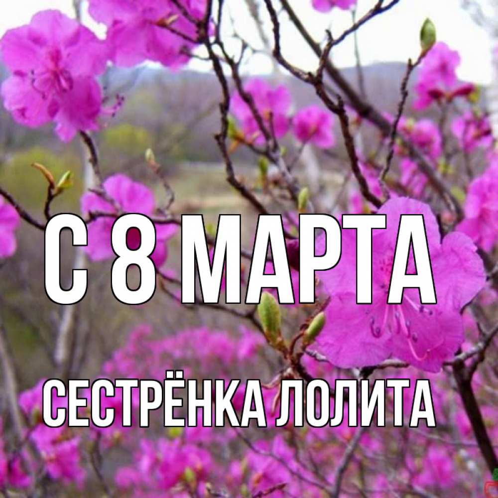 Открытка на каждый день с именем, Сестрёнка-Лолита С 8 МАРТА международный женский день Прикольная открытка с пожеланием онлайн скачать бесплатно 