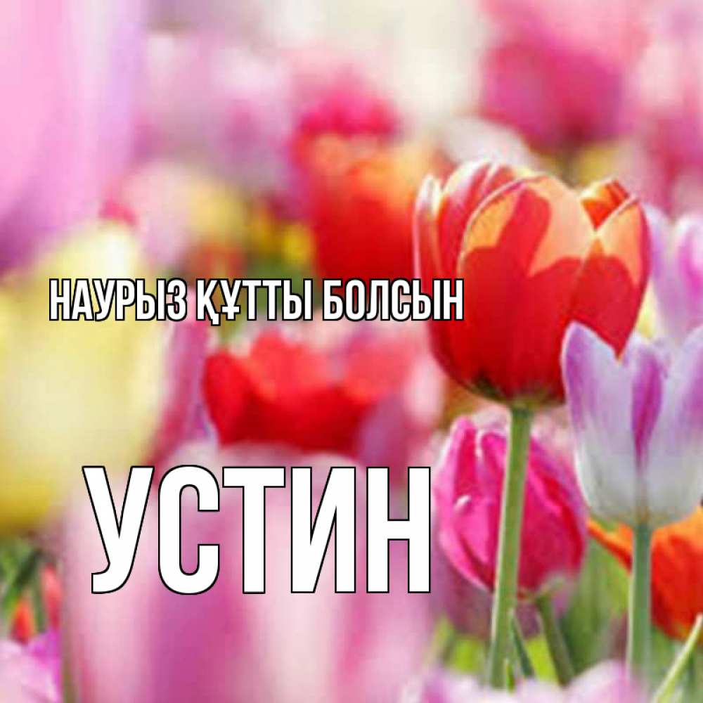 Открытка на каждый день с именем, Устин Наурыз құтты болсын на наурыз  2 Прикольная открытка с пожеланием онлайн скачать бесплатно 