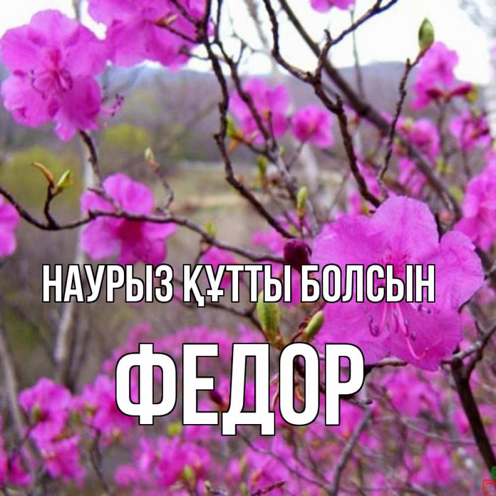 Открытка на каждый день с именем, Федор Наурыз құтты болсын наурыз мейрамы кутты болсын Прикольная открытка с пожеланием онлайн скачать бесплатно 