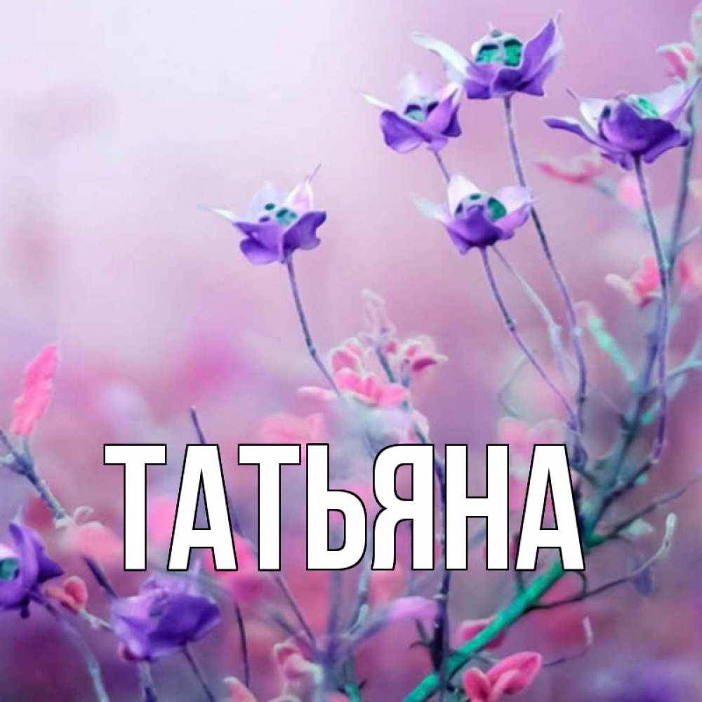 Таня буква