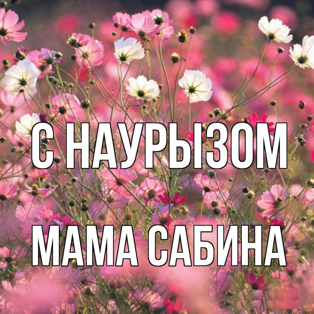 Открытка на каждый день с именем, Мама-Сабина С наурызом красиво 1 Прикольная открытка с пожеланием онлайн скачать бесплатно 