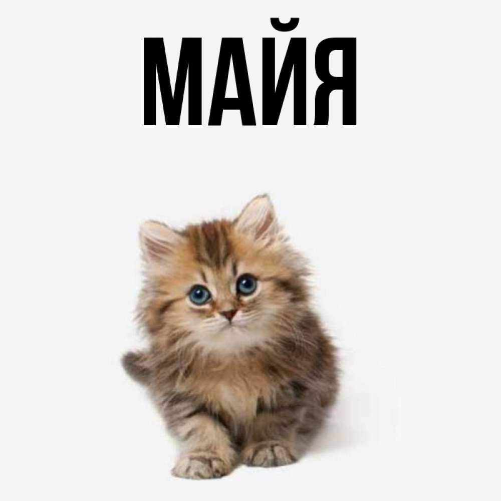 Получила имя майя