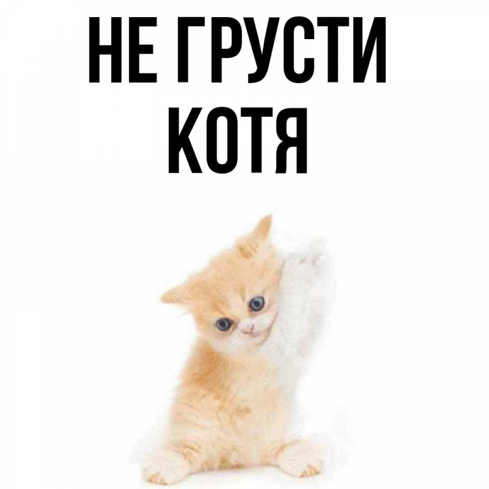 Котя имя