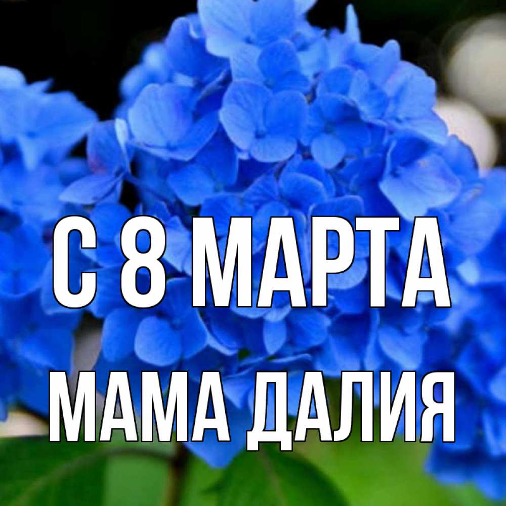 Картинка С 8 марта, Мама Далия