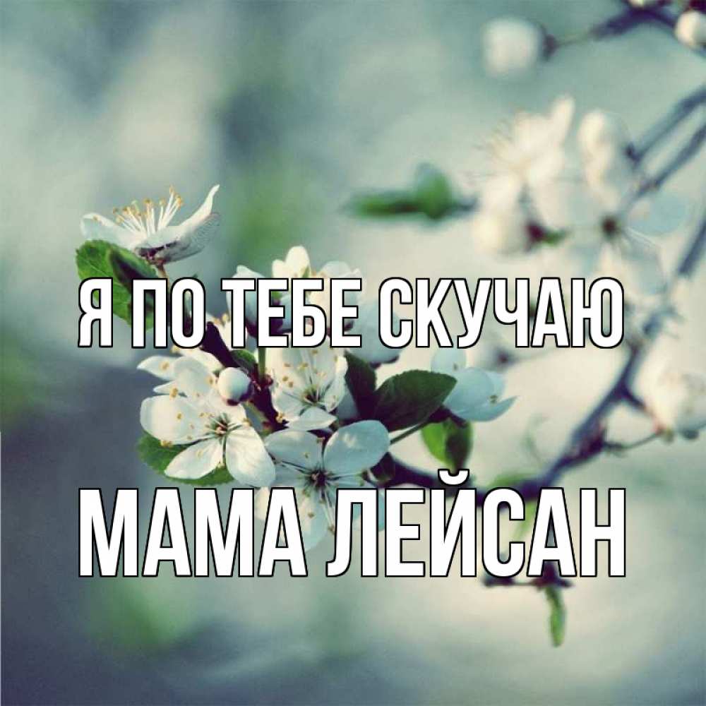 Открытка на каждый день с именем, Мама-Лейсан Я по тебе скучаю весна Прикольная открытка с пожеланием онлайн скачать бесплатно 