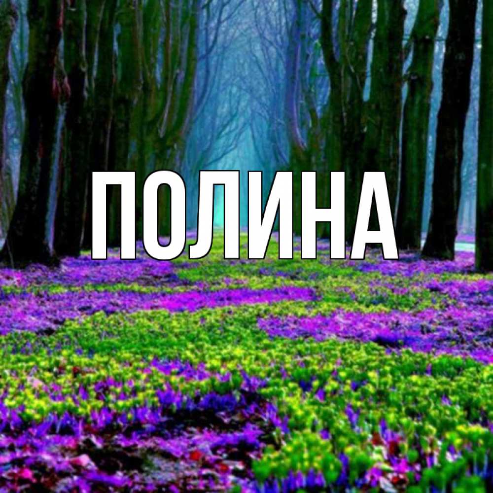 Для полины картинки