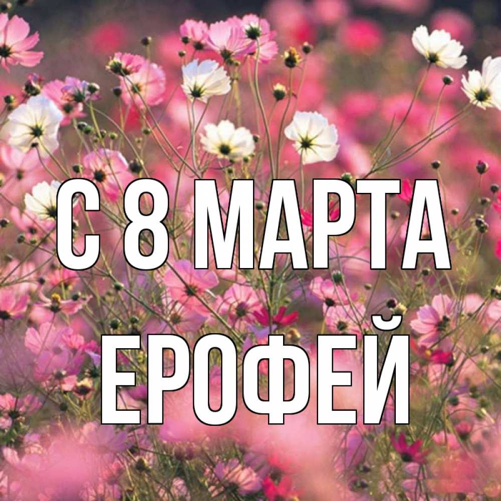 Открытка на каждый день с именем, Ерофей С 8 МАРТА красиво 1 Прикольная открытка с пожеланием онлайн скачать бесплатно 