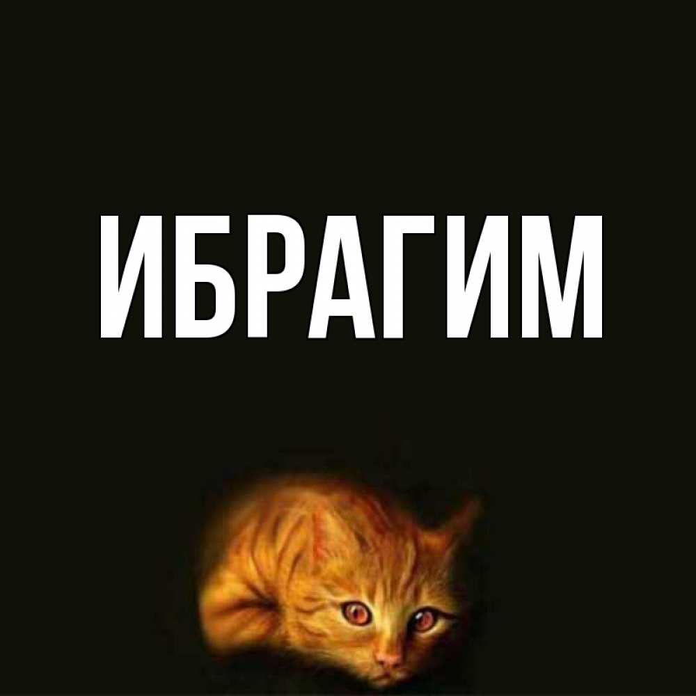 Открытка на каждый день с именем, Ибрагим Главная лежащий кот в темноте Прикольная открытка с пожеланием онлайн скачать бесплатно 