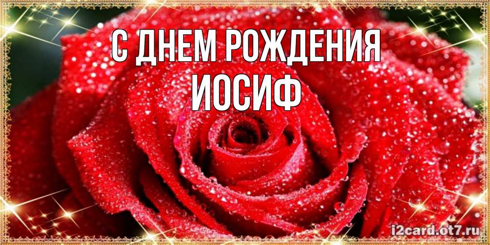 Открытка на каждый день с именем, Иосиф С днем рождения роса и роза. открытка с красивой розой Прикольная открытка с пожеланием онлайн скачать бесплатно 