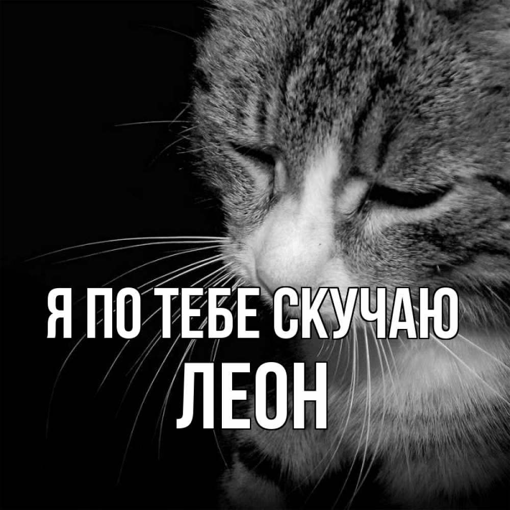 Открытка на каждый день с именем, Леон Я по тебе скучаю мне скучно Прикольная открытка с пожеланием онлайн скачать бесплатно 