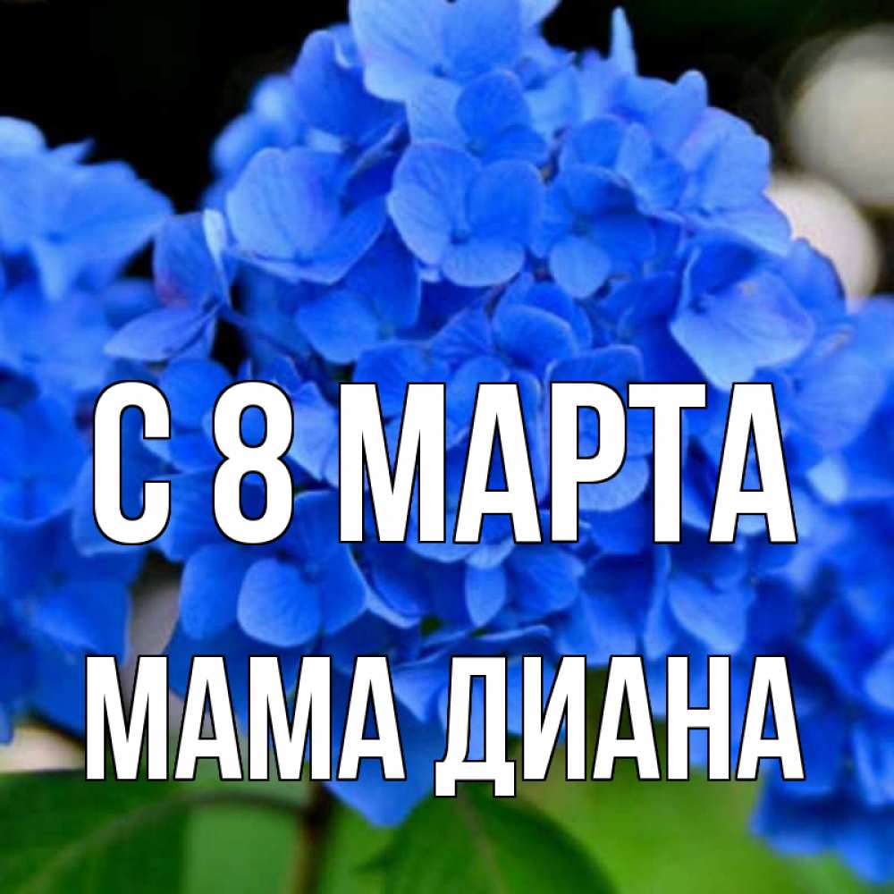 Открытка на каждый день с именем, Мама-Диана С 8 МАРТА синие цветы Прикольная открытка с пожеланием онлайн скачать бесплатно 