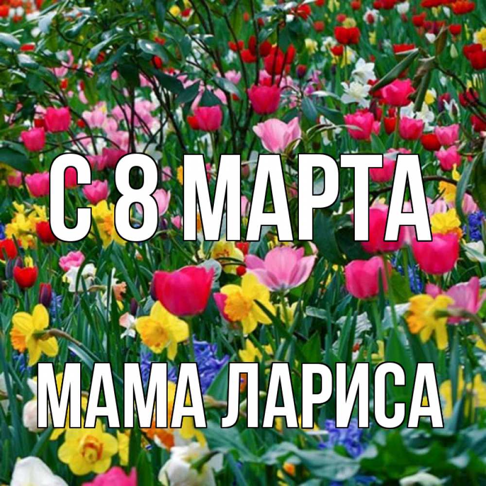 Открытка на каждый день с именем, Мама-Лариса С 8 МАРТА с международным женским днем поздравления для женщины Прикольная открытка с пожеланием онлайн скачать бесплатно 