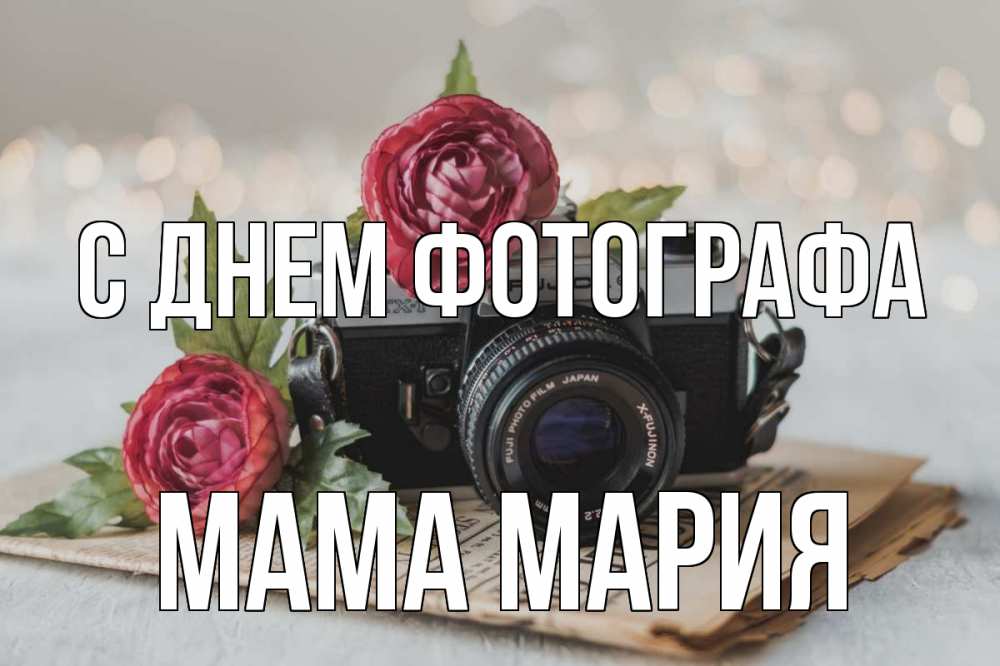 Открытка на каждый день с именем, Мама-Мария С днем фотографа с днем фотографа Прикольная открытка с пожеланием онлайн скачать бесплатно 