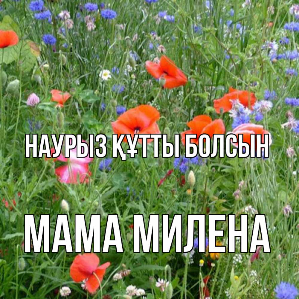 Открытка на каждый день с именем, Мама-Милена Наурыз құтты болсын наурыз  4 Прикольная открытка с пожеланием онлайн скачать бесплатно 