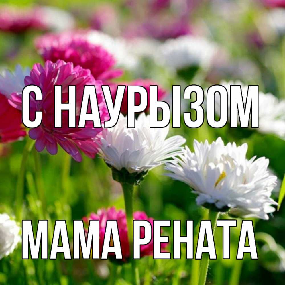 Открытка на каждый день с именем, Мама-Рената С наурызом праздник весны наурыз красота Прикольная открытка с пожеланием онлайн скачать бесплатно 