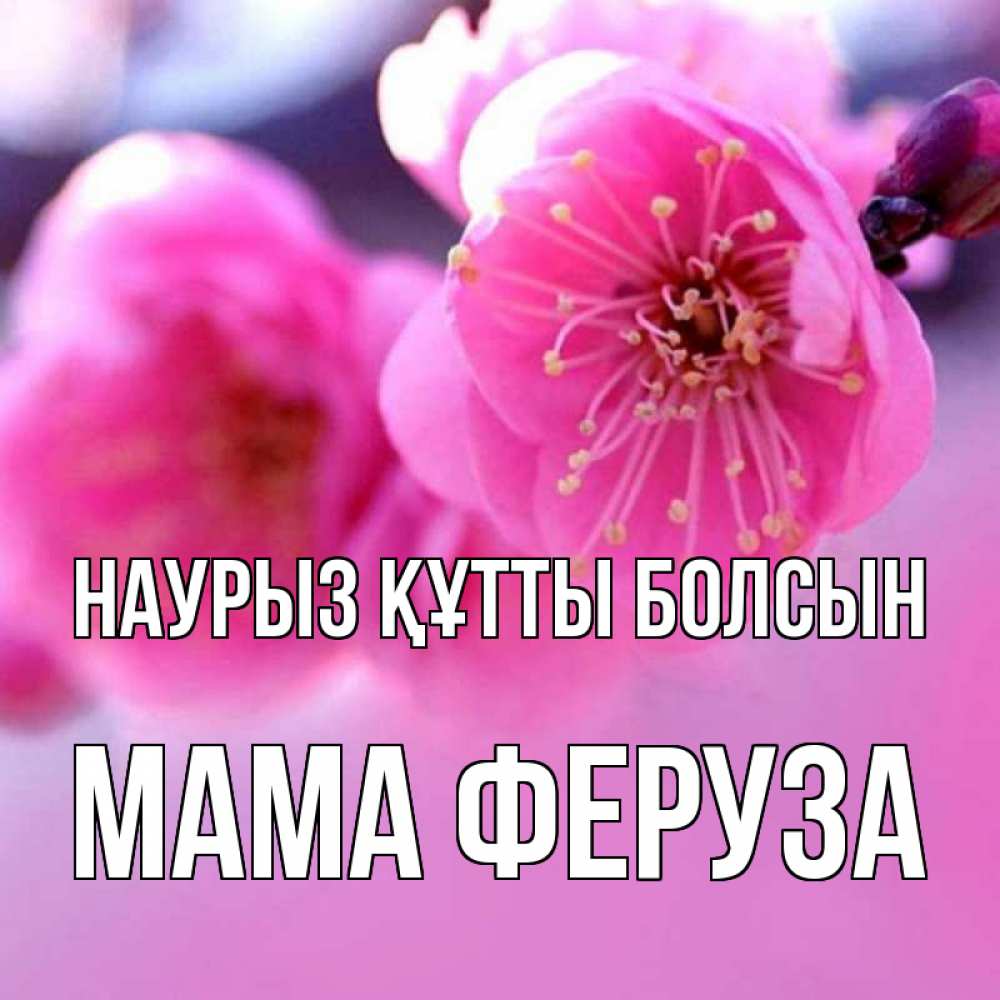 Открытка на каждый день с именем, Мама-Феруза Наурыз құтты болсын наурыз мейрам Прикольная открытка с пожеланием онлайн скачать бесплатно 