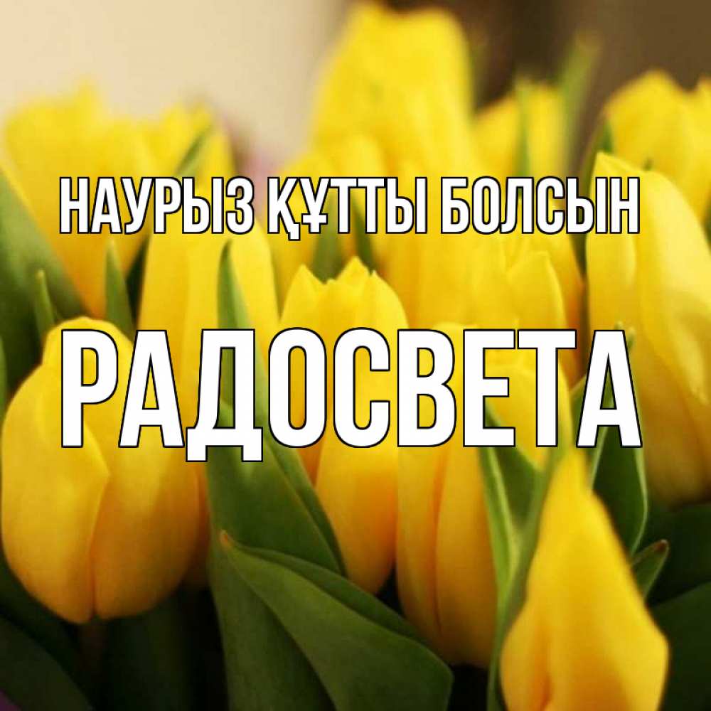 Открытка на каждый день с именем, Радосвета Наурыз құтты болсын цветы Прикольная открытка с пожеланием онлайн скачать бесплатно 