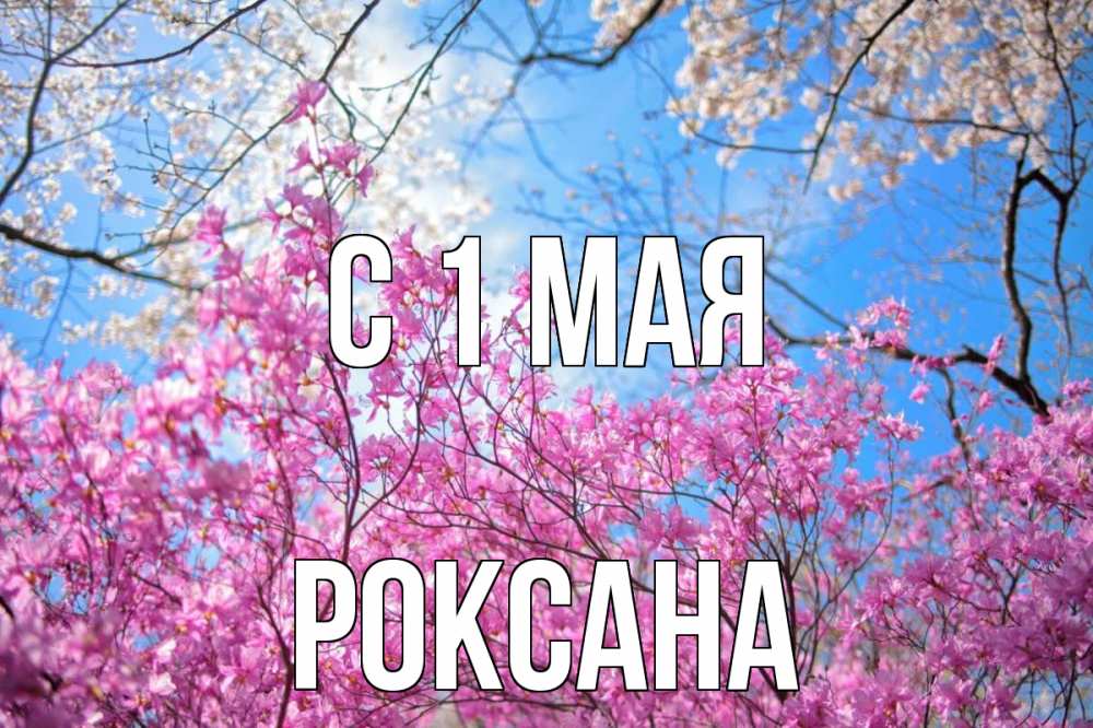 Открытка на каждый день с именем, Роксана С 1 мая С 1 мая Прикольная открытка с пожеланием онлайн скачать бесплатно 