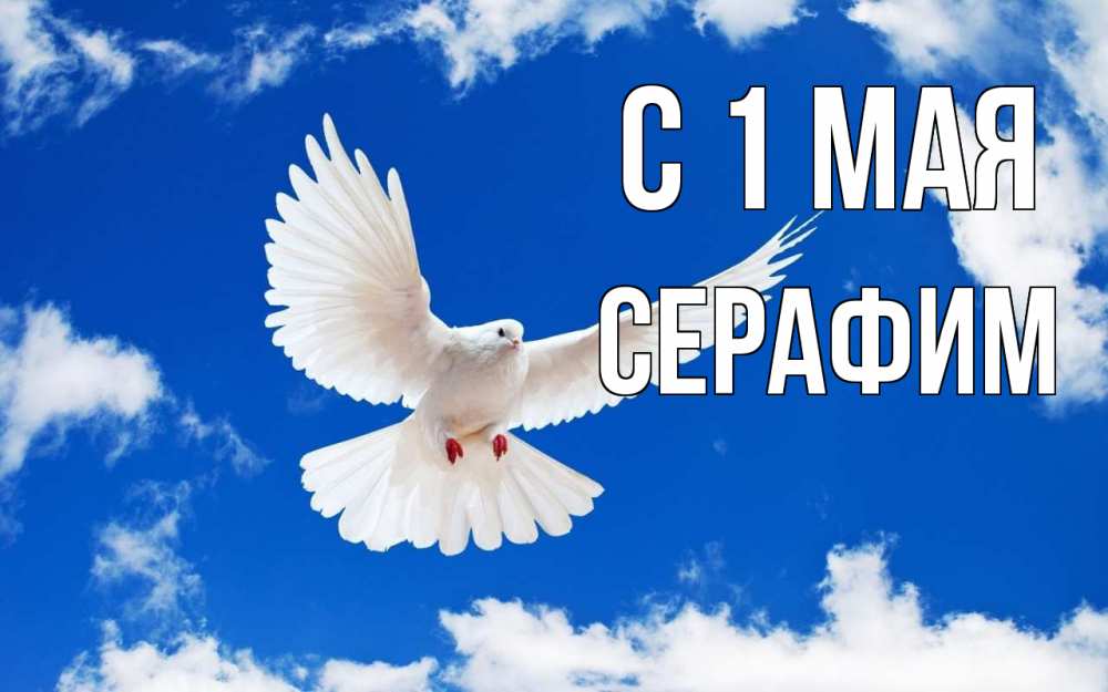 Открытка на каждый день с именем, Серафим С 1 мая С 1 мая 1 Прикольная открытка с пожеланием онлайн скачать бесплатно 