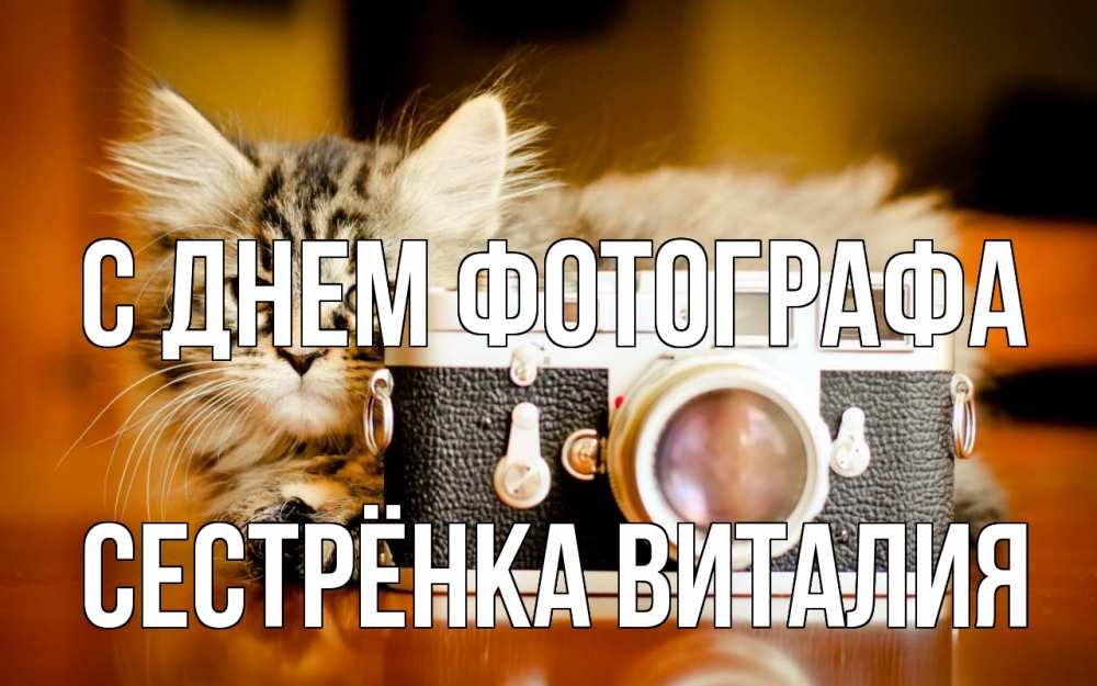 Открытка на каждый день с именем, Сестрёнка-Виталия С днем фотографа с днем фотографа Прикольная открытка с пожеланием онлайн скачать бесплатно 