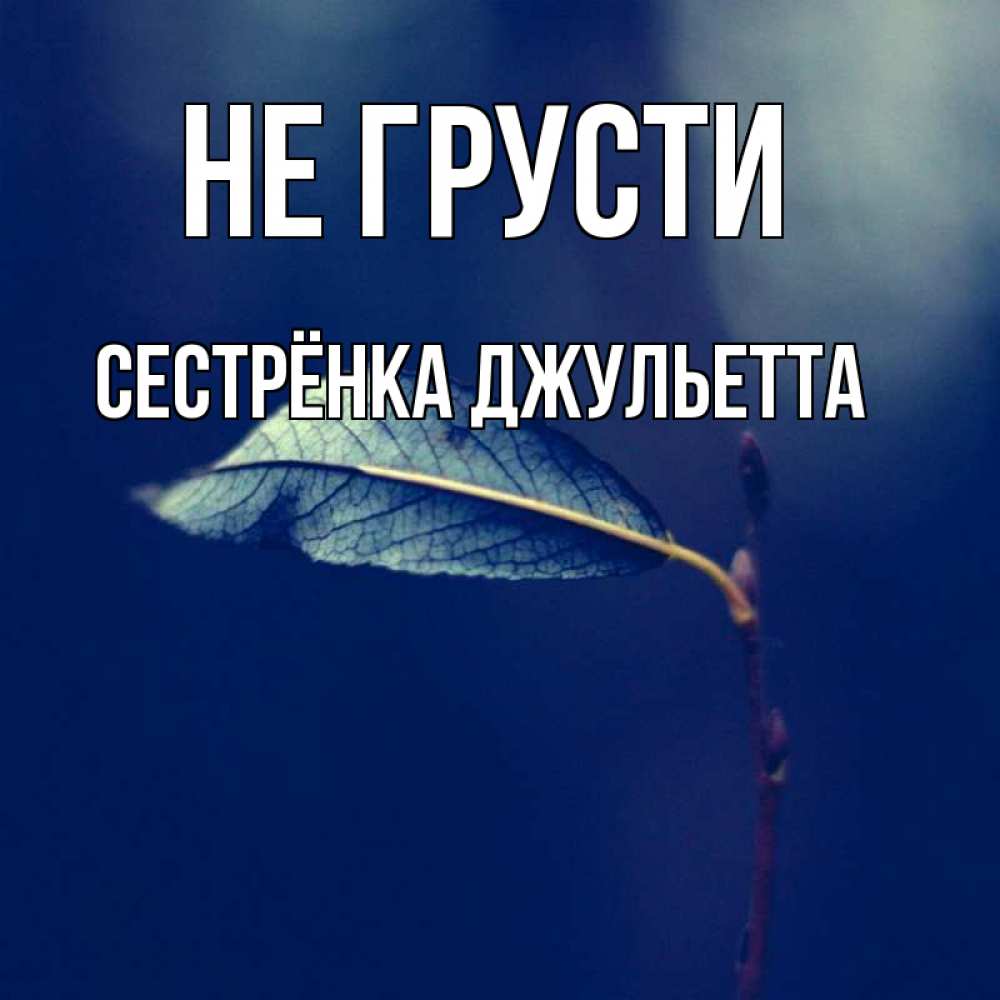 Открытка на каждый день с именем, Сестрёнка-Джульетта Не грусти растение Прикольная открытка с пожеланием онлайн скачать бесплатно 