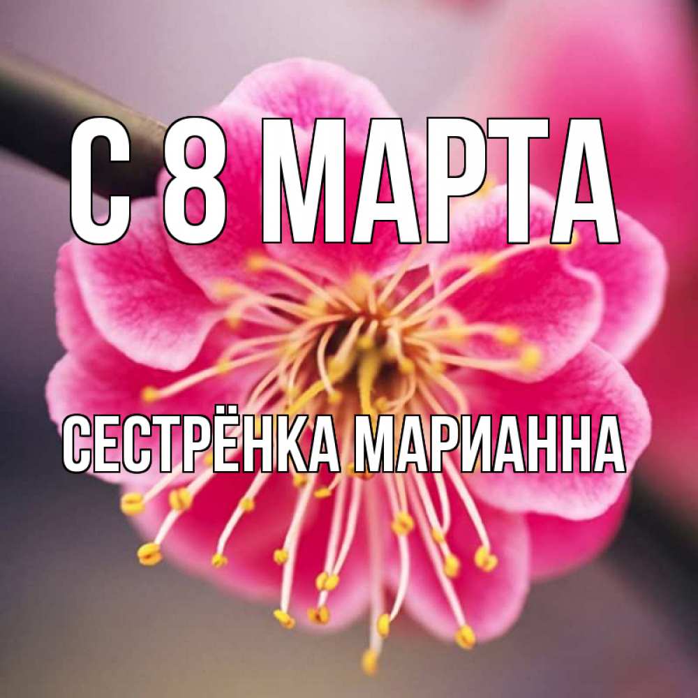 Открытка на каждый день с именем, Сестрёнка-Марианна С 8 МАРТА цветы Прикольная открытка с пожеланием онлайн скачать бесплатно 