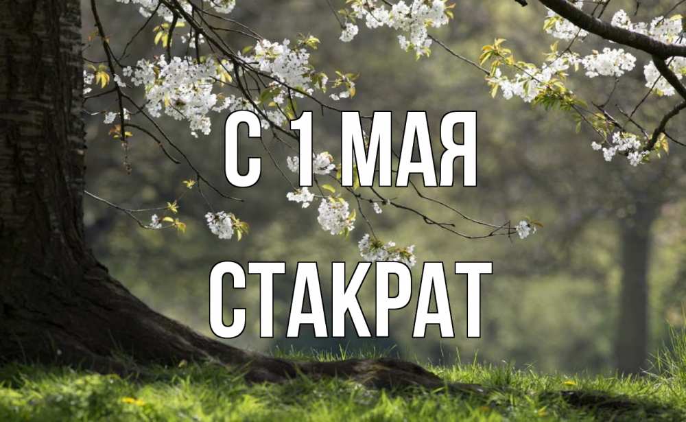 Открытка на каждый день с именем, Стакрат С 1 мая С 1 мая Прикольная открытка с пожеланием онлайн скачать бесплатно 