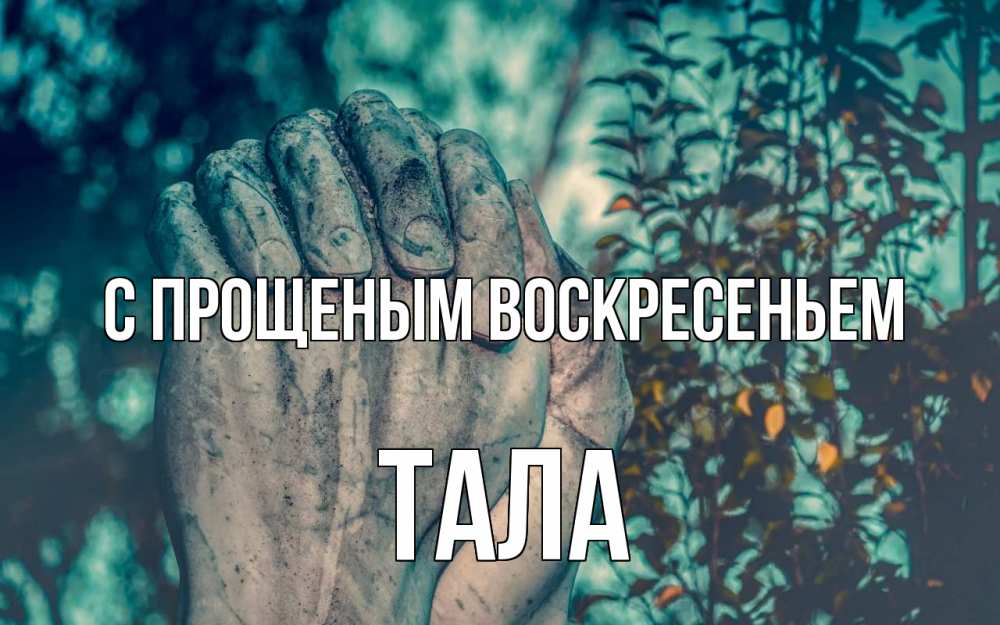 Открытка на каждый день с именем, Тала С прощеным воскресеньем руки Прикольная открытка с пожеланием онлайн скачать бесплатно 