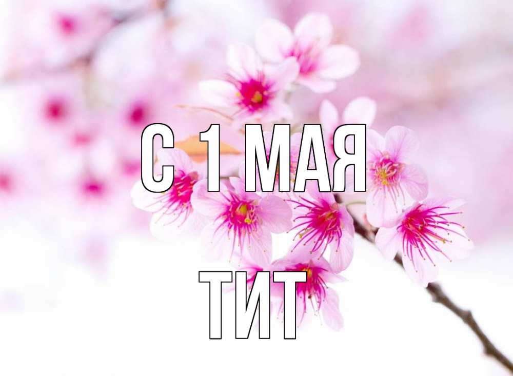 Открытка на каждый день с именем, Тит С 1 мая С 1 мая 2 Прикольная открытка с пожеланием онлайн скачать бесплатно 