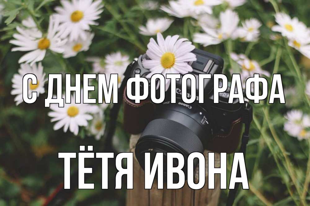 Открытка на каждый день с именем, Тётя-Ивона С днем фотографа с днем фотографа Прикольная открытка с пожеланием онлайн скачать бесплатно 