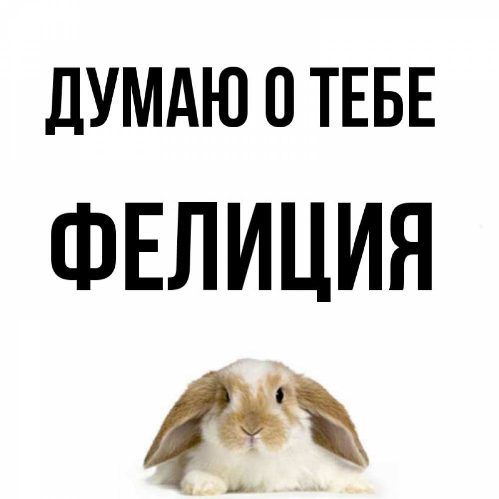 Открытка на каждый день с именем, Фелиция Думаю о тебе подписать своими руками онлайн Прикольная открытка с пожеланием онлайн скачать бесплатно 