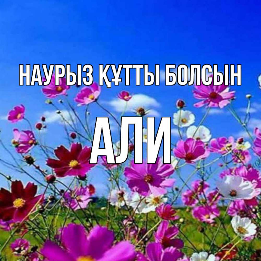 Открытка на каждый день с именем, Али Наурыз құтты болсын цветы Прикольная открытка с пожеланием онлайн скачать бесплатно 