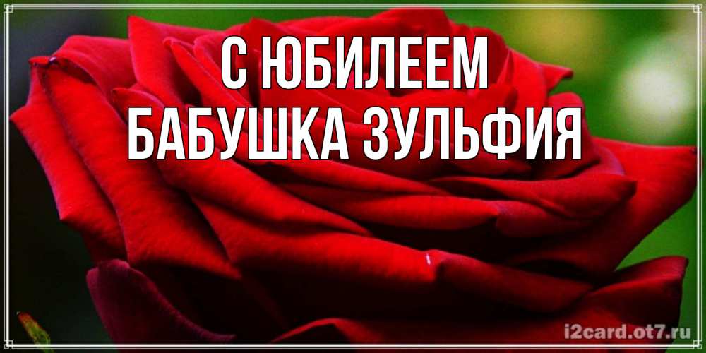 Открытка на каждый день с именем, Бабушка-Зульфия С юбилеем розочка очень красивая Прикольная открытка с пожеланием онлайн скачать бесплатно 