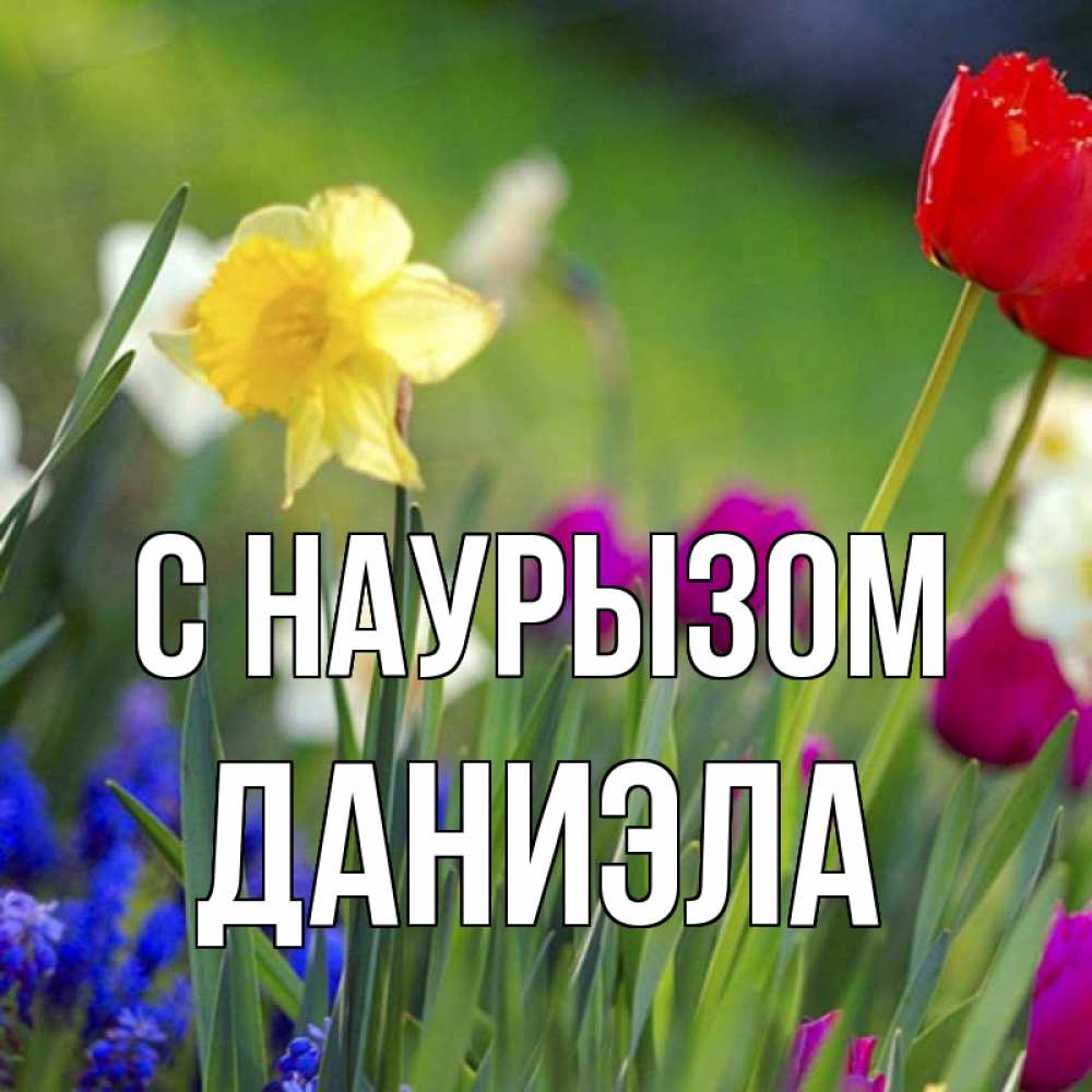 Открытка на каждый день с именем, Даниэла С наурызом праздник весны наурыз 3 Прикольная открытка с пожеланием онлайн скачать бесплатно 