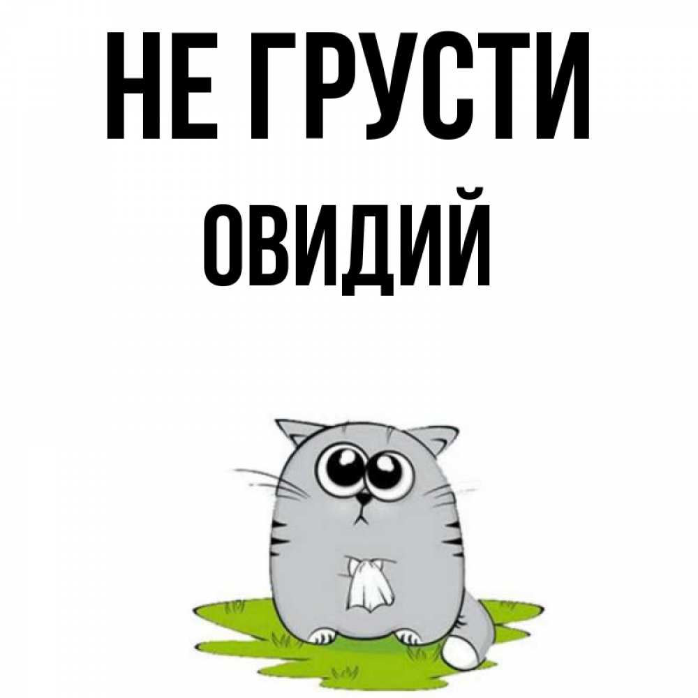 Открытка на каждый день с именем, Овидий Не грусти грустный котяра Прикольная открытка с пожеланием онлайн скачать бесплатно 