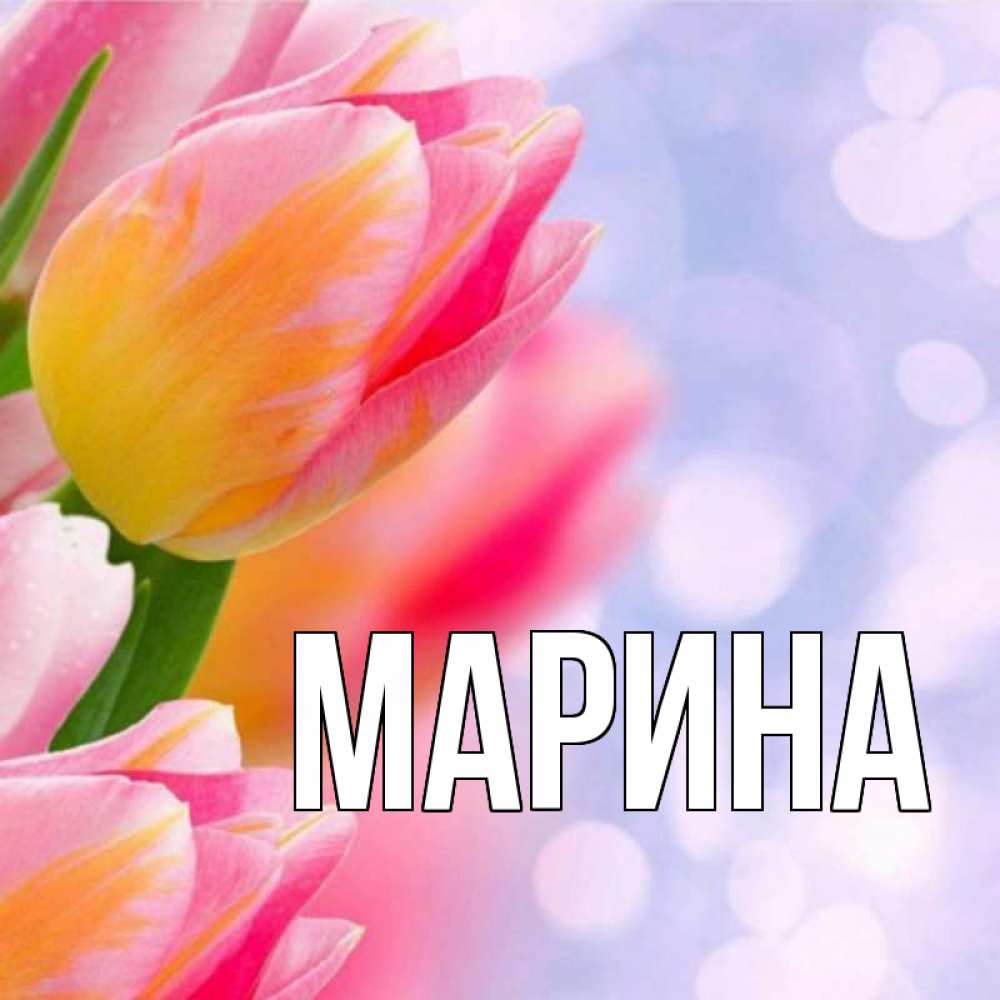 Открытка на каждый день с именем, Марина Главная тюльпаны 2 Прикольная открытка с пожеланием онлайн скачать бесплатно 