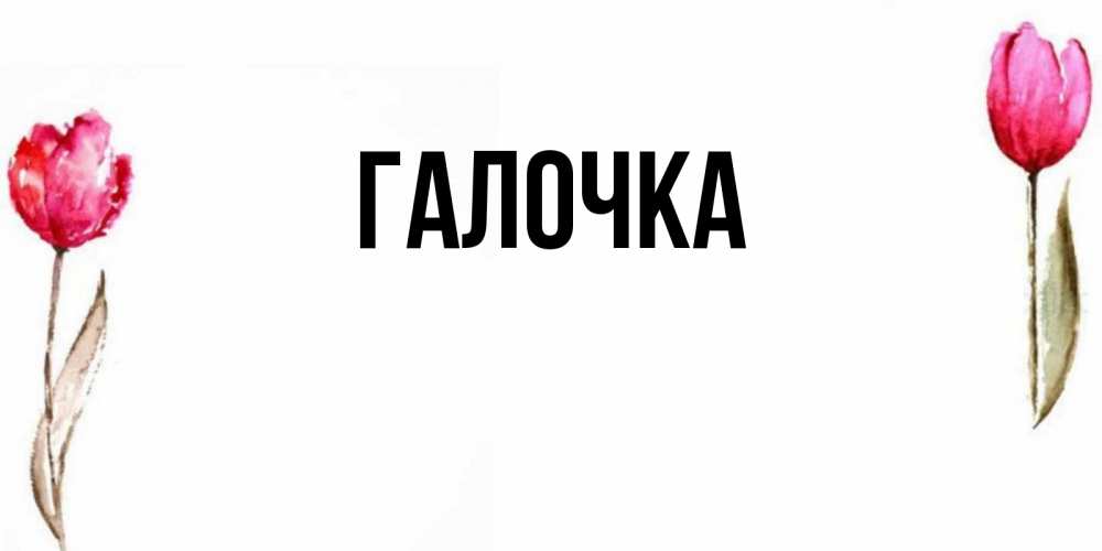 Открытка на каждый день с именем, Галочка Главная открытки акварелью с цветами Прикольная открытка с пожеланием онлайн скачать бесплатно 
