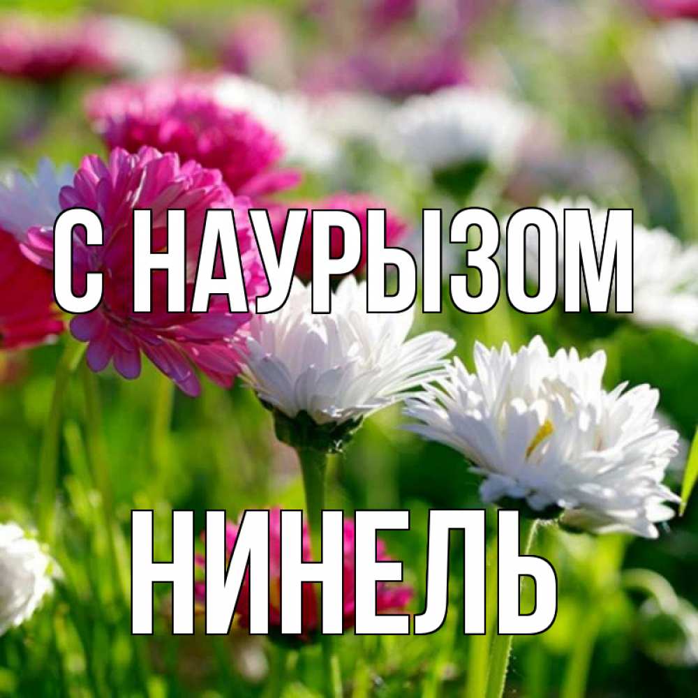 Открытка на каждый день с именем, Нинель С наурызом праздник весны наурыз красота Прикольная открытка с пожеланием онлайн скачать бесплатно 