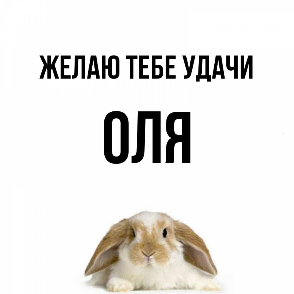 Оле удачи